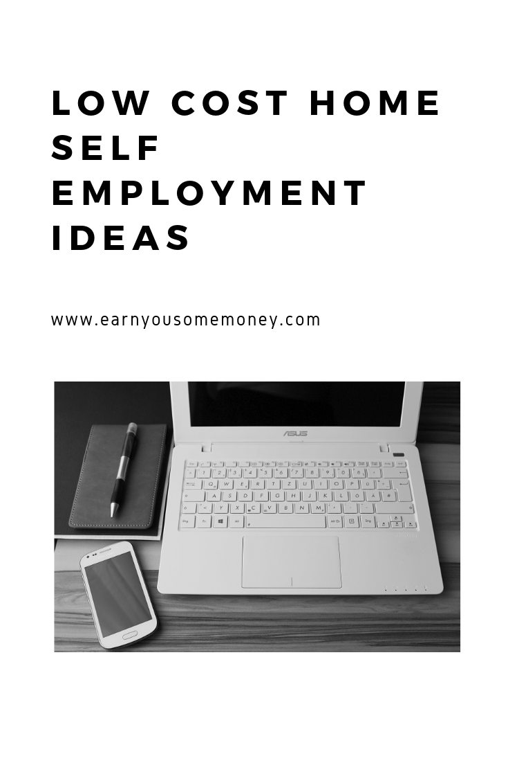 Low cost home self employment ideas