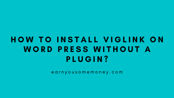 How To Install Viglink on word press without a plugin