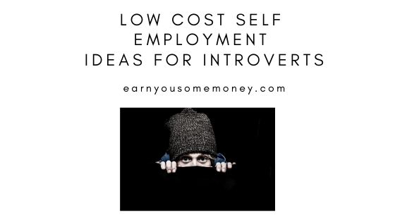 (Updated) Low Cost Self Employment Ideas For Introverts