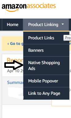How To Add Amazon Native Shopping Ads To WordPress